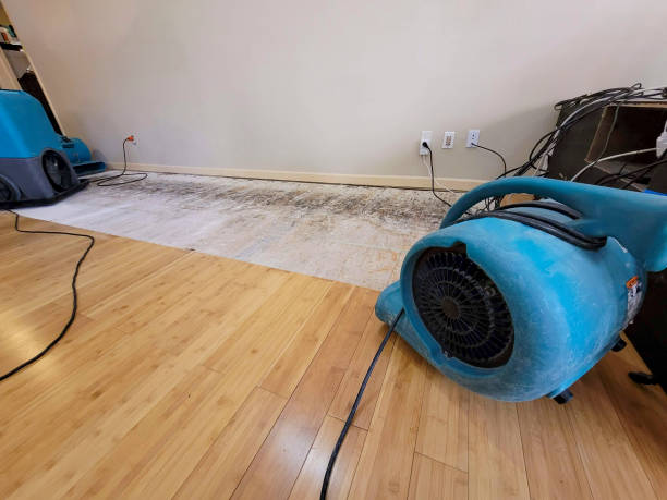 Professional Water Extraction technician working in Lee's Summit, MO